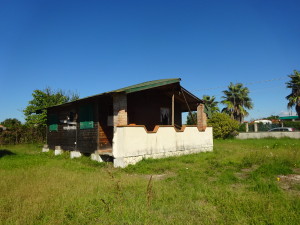 DSC07329