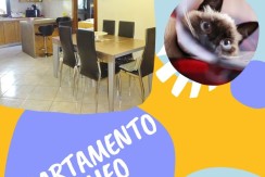 APPARTAMENTO ROMEO APPARTAMENTO ROMEO