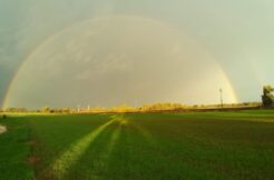 TERRENO AGRICOLO, ZONA BORGO SANTA MARIA.