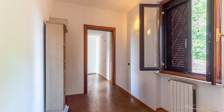 DSC_1516
